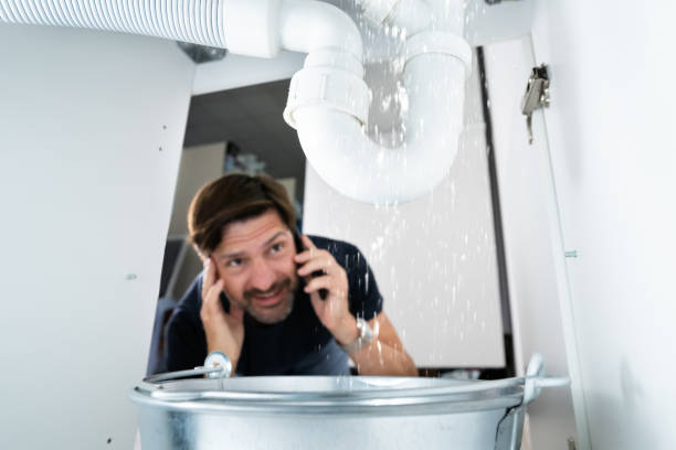 Best Affordable Plumber Near Me  in Dolton, IL