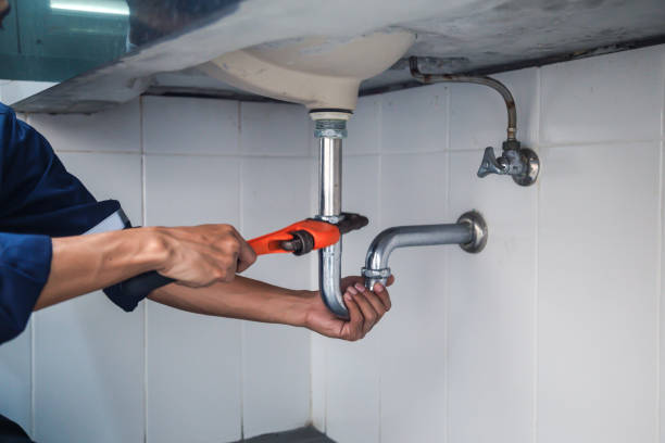 Best Drain Cleaning Services  in Dolton, IL